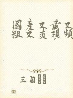 国产又黄又猛又粗又爽视频