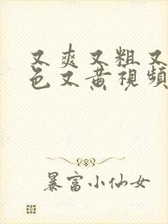 又爽又粗又猛又色又黄视频