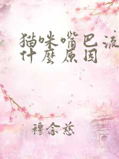 猫咪嘴巴流血是什么原因