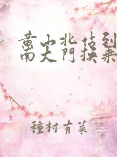 黄山北站到黄山南大门换乘中心