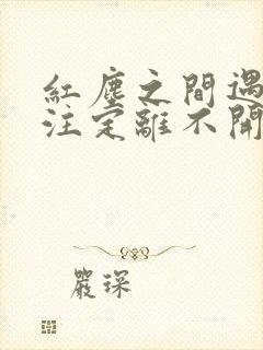 红尘之间遇见你注定离不开是什么歌