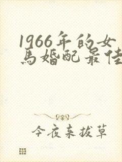 1966年的女马婚配最佳属相