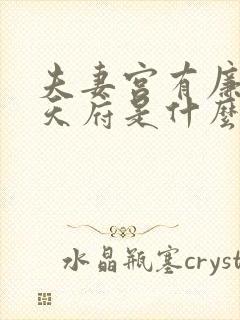 夫妻宫有廉贞与天府是什么意思