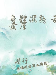 身体湿热 舌苔黄厚