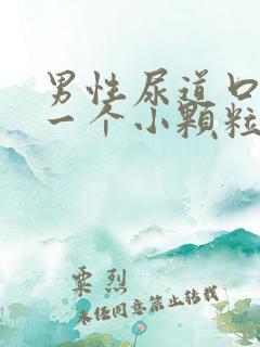 男性尿道口长了一个小颗粒