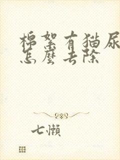 棉絮有猫尿味道怎么去除