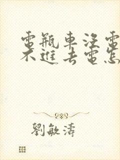 电瓶车没电了充不进去电怎么回事