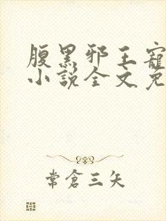 腹黑邪王宠入骨小说全文免费阅读