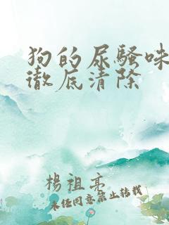 狗的尿骚味怎样彻底清除