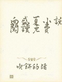 向盛夏小说全文阅读免费