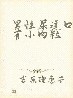 男性尿道口红肿有小肉粒