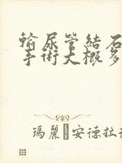 输尿管结石软镜手术大概多少钱