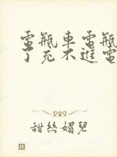 电瓶车电瓶放久了充不进电怎么办