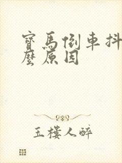 宝马倒车抖动什么原因