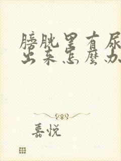 膀胱里有尿排不出来怎么办