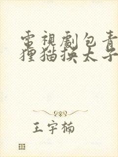 电视剧包青天之狸猫换太子在线观看