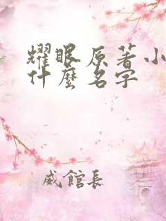 耀眼原著小说叫什么名字