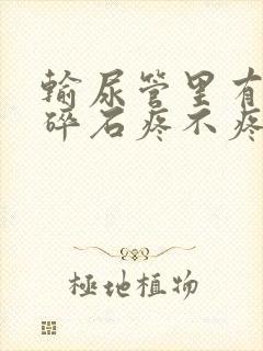 输尿管里有结石碎石疼不疼