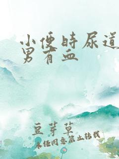 小便时尿道刺痛男有血