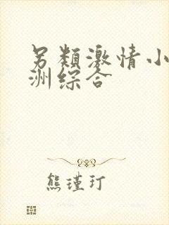 另类激情小说亚洲综合