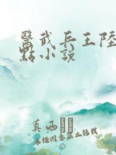 医武兵王陆轩顶点小说