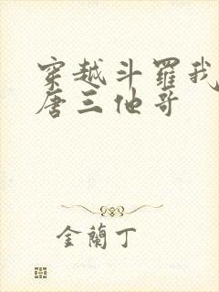 穿越斗罗我成了唐三他哥