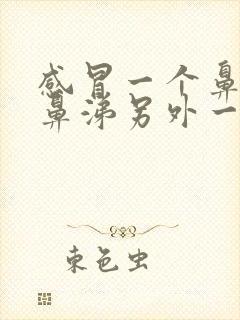 感冒一个鼻孔流鼻涕另外一个不流