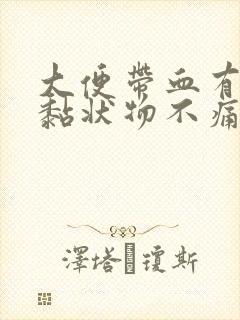 大便带血有血块黏状物不痛