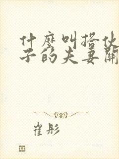 什么叫搭伙过日子的夫妻关系