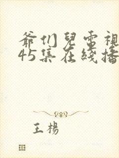 爷们儿电视剧第45集在线播放