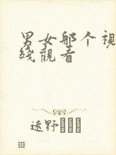 男女那个视频在线观看