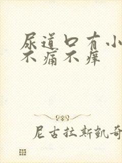 尿道口有小肉芽不痛不痒