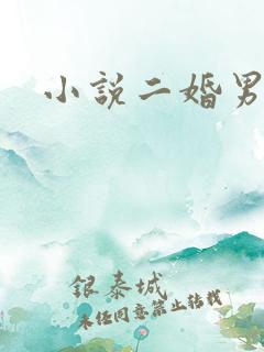 小说二婚男女