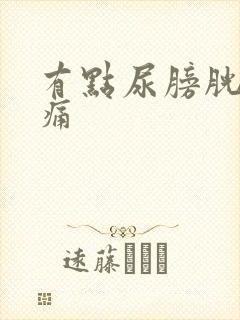 有点尿膀胱就胀痛