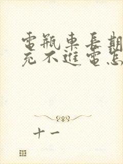 电瓶车长期不骑充不进电怎么办