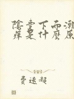 阴囊下面潮湿瘙痒是什么原因造成的