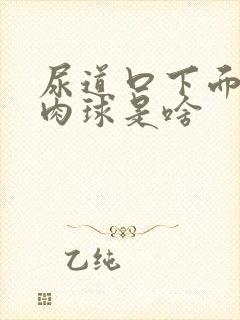 尿道口下面有个肉球是啥