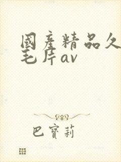 国产精品久久久毛片av