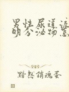 男性尿道流出透明分泌物怎么回事