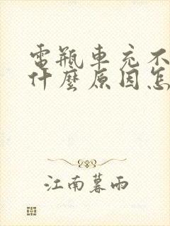 电瓶车充不进电什么原因怎么解决