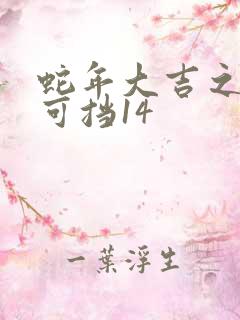 蛇年大吉之婚不可挡14