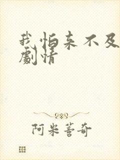 我怕来不及分集剧情