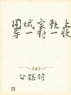 同城家教上门辅导一对一收费