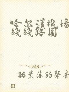 哈尔滨机场2号线线路图