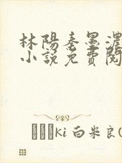 林阳秦墨浓正版小说免费阅读