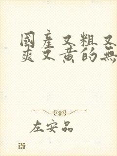 国产又粗又猛又爽又黄的无遮挡视频