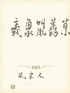 主角叫叶苜苜和战承胤的小说