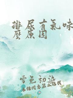 排尿有气味是什么原因