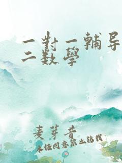 一对一辅导班初二数学