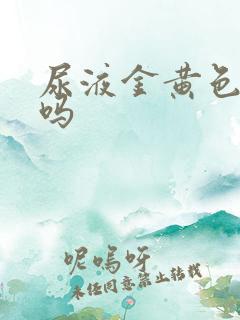 尿液金黄色正常吗